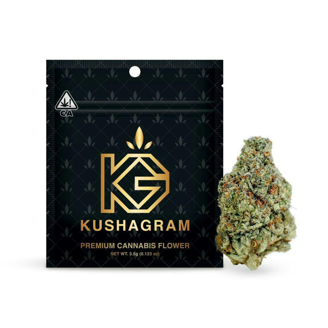 KUSHAGRAM: Tropical Tsunami