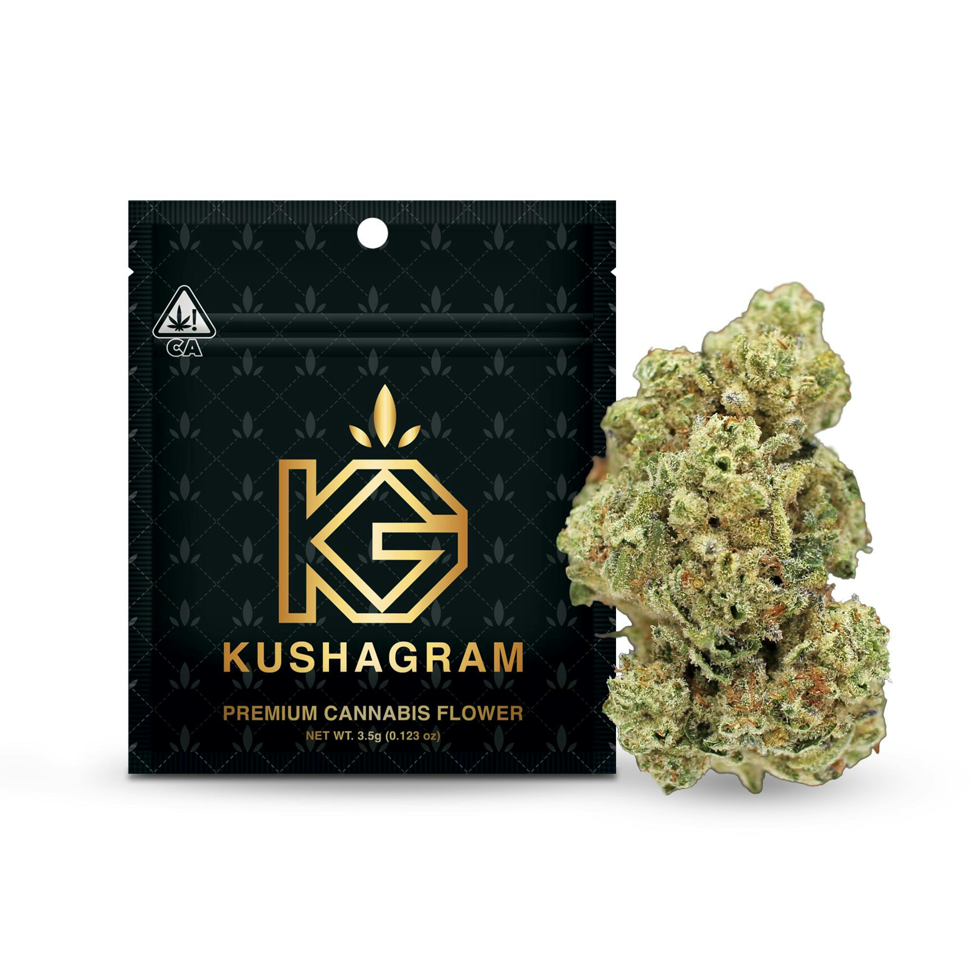 KUSHAGRAM — Kush 41