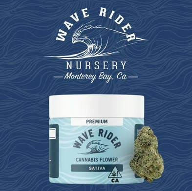 Blueberry Blast | Premium Big Buds | 14g
