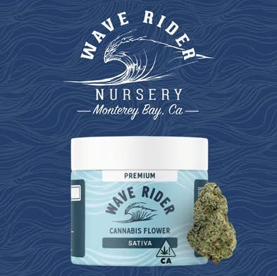 Wave Rider: Lemon Zest