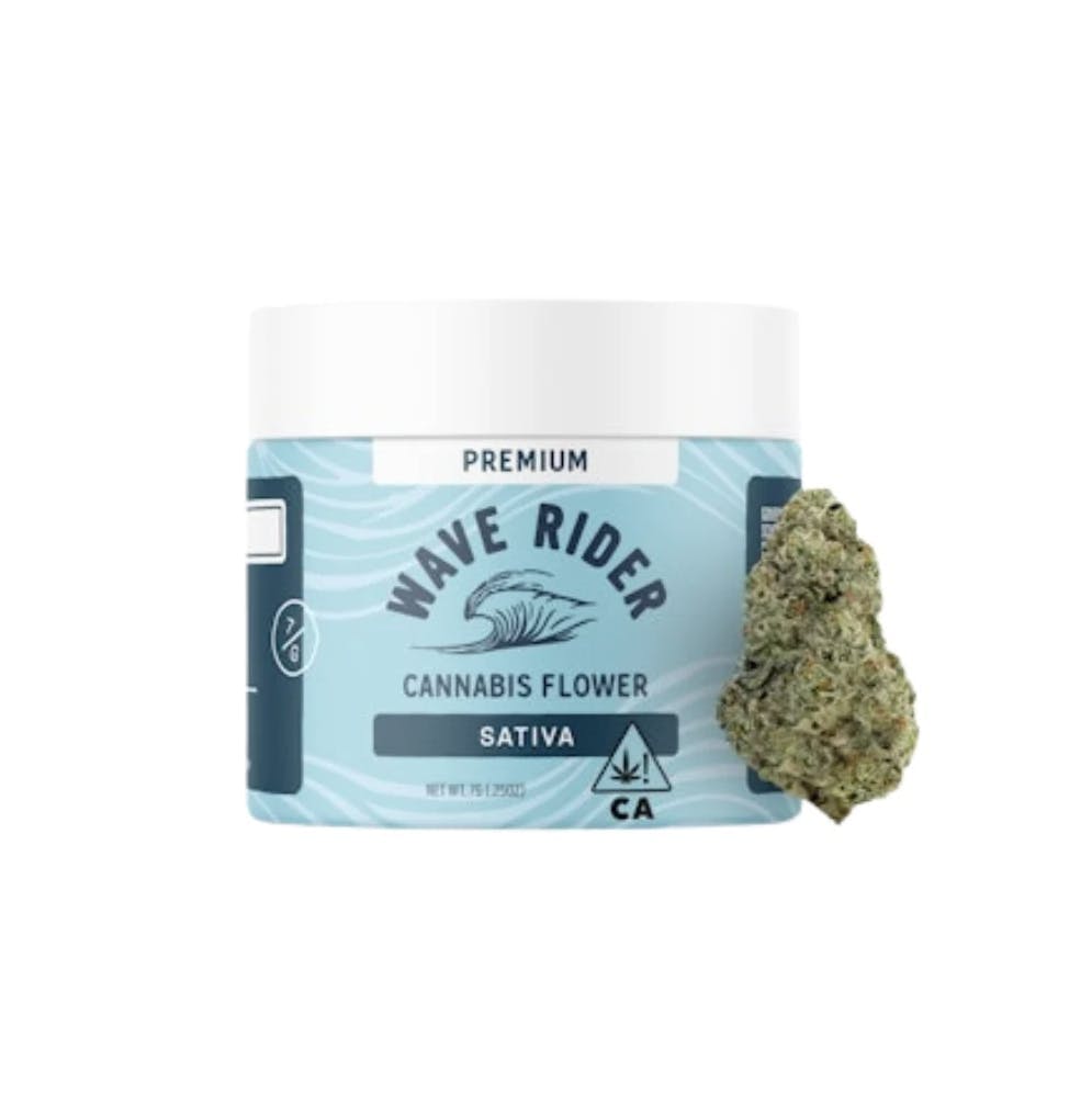 Wave Rider: Blue Poison