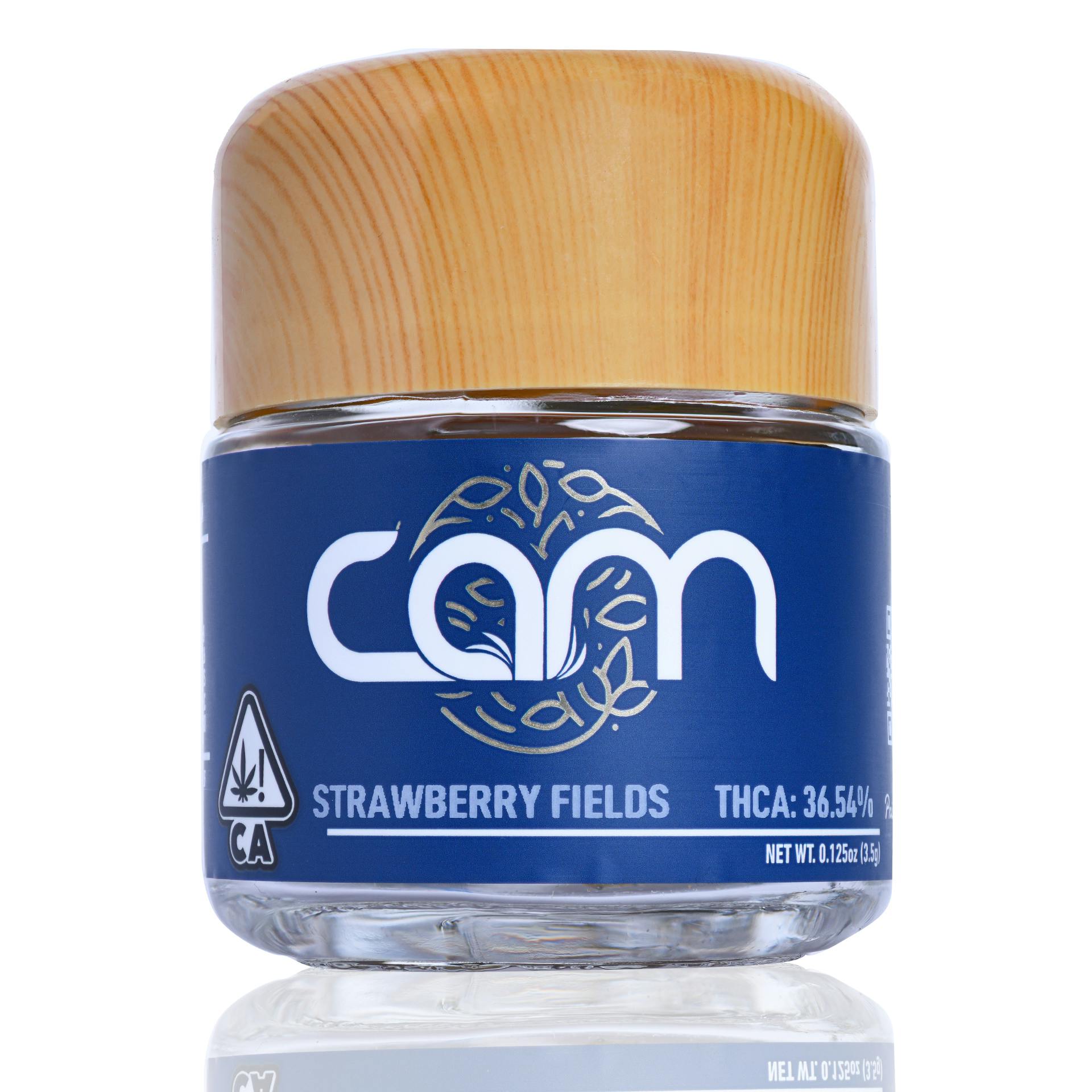 CAM: Strawberry Fields