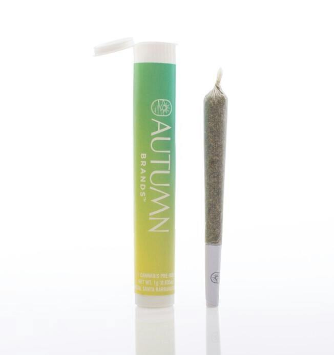 Preroll 1g Sativa Mango Haze