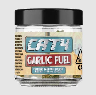 CATALYST — Cat4 - Garlic Fuel