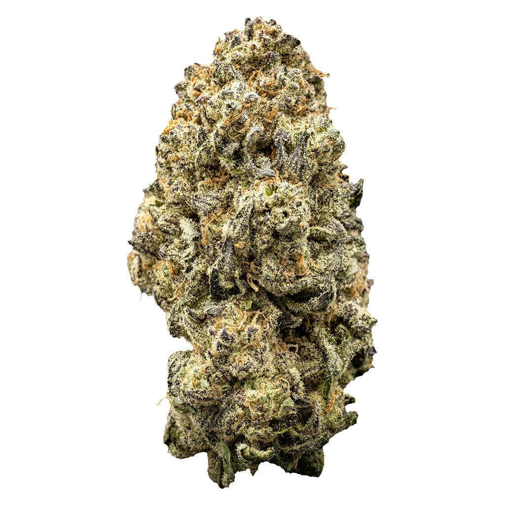 Orange Slushie | Big Buds | 7g