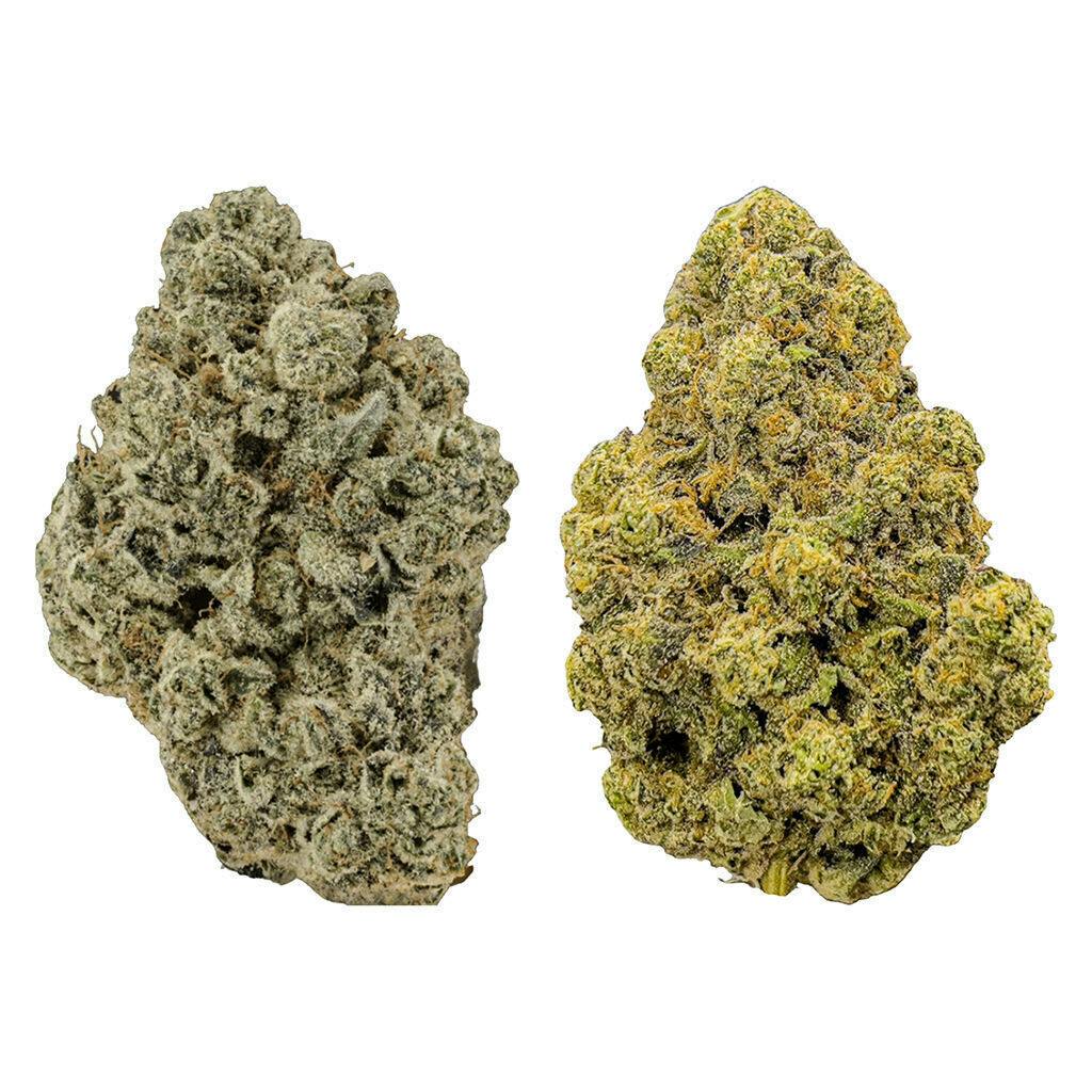 Indica vs. Sativa Discovery Pack | Big Buds | 7g