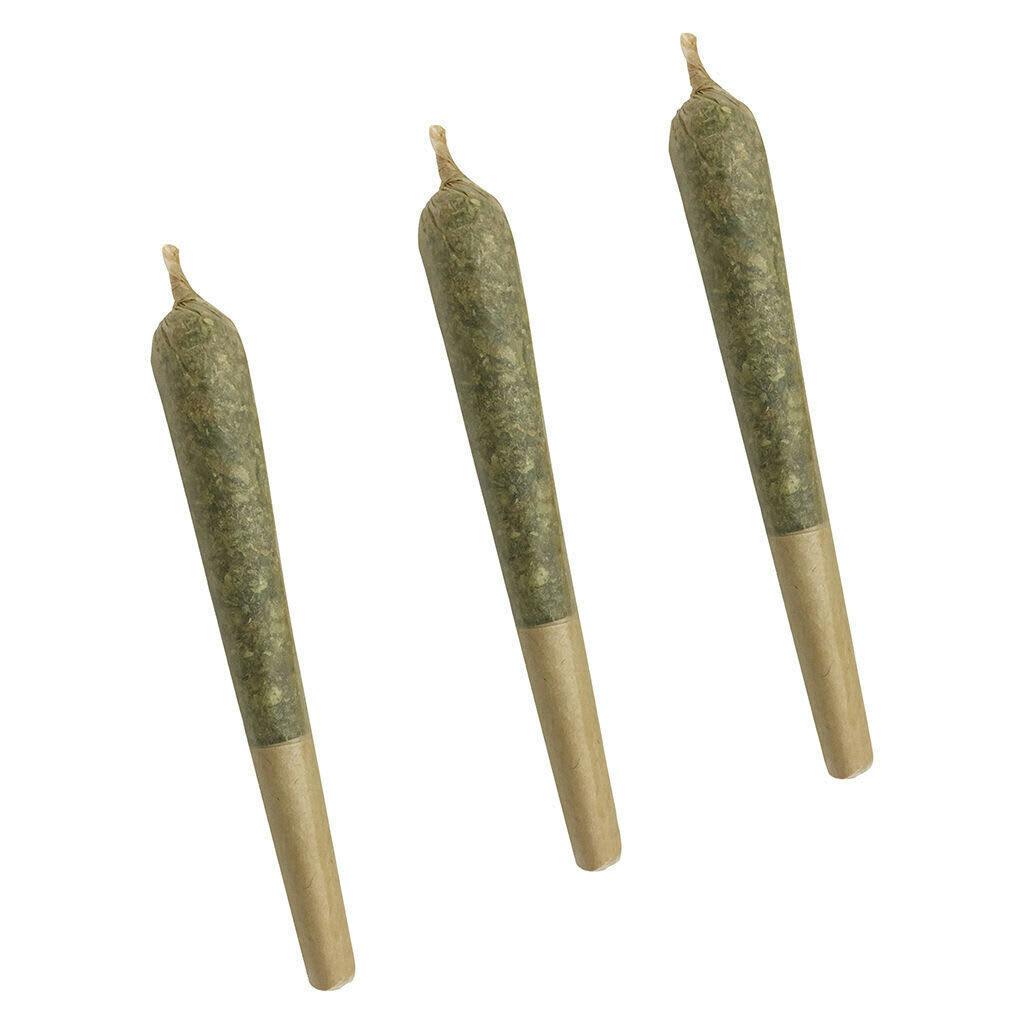 Citrus Tsunami | Minis | 0.5g | 3pk