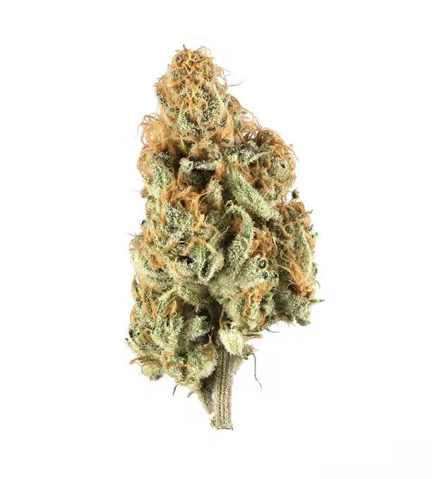 Orange Creamsicle | Big Buds | 3.5g