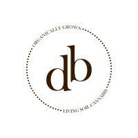 Dutch Botanicals - Jade Mouth Pieces - Accessories | Accessories