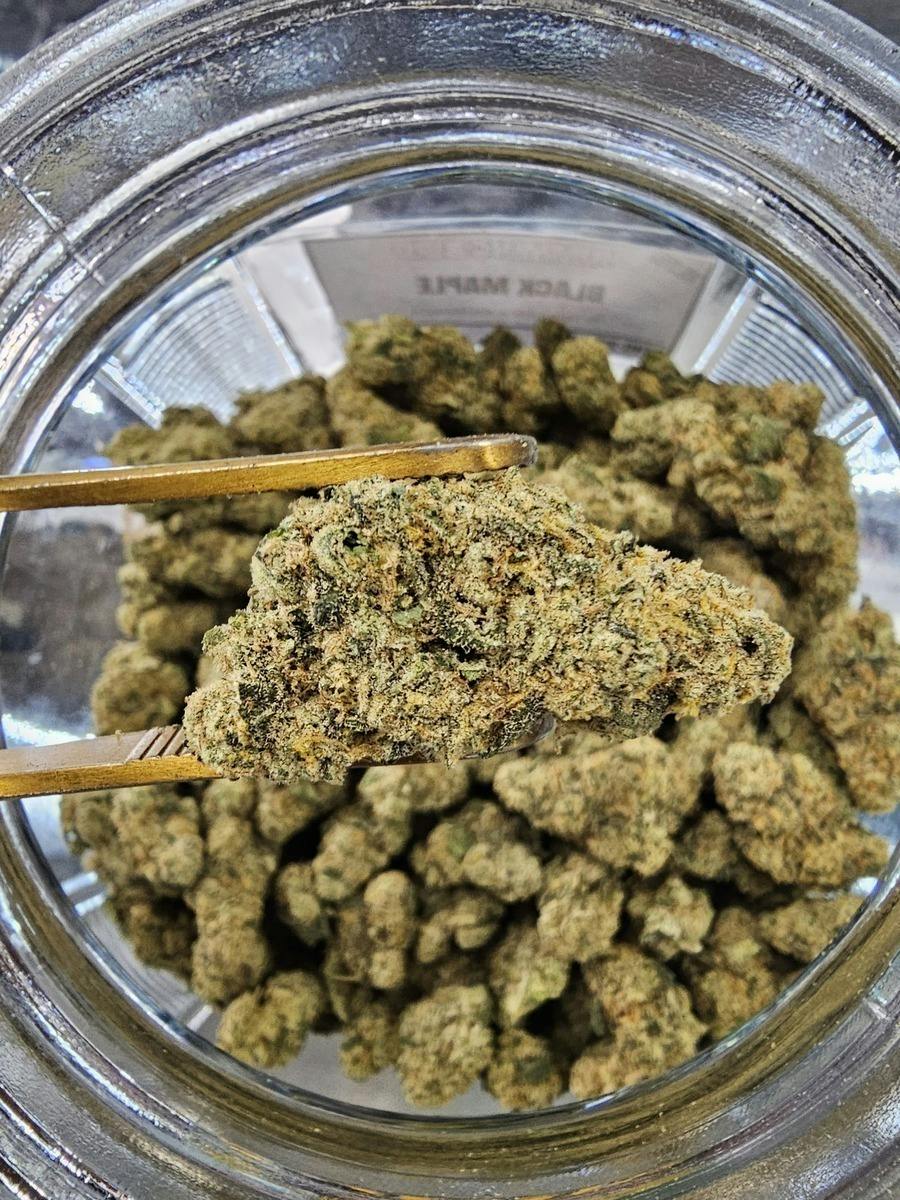 Black Maple | 1g