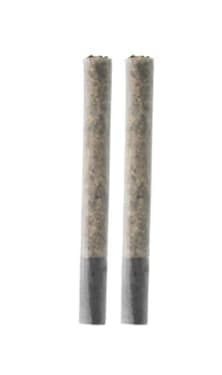 Purple Romulan | Minis | 0.5g | 2pk