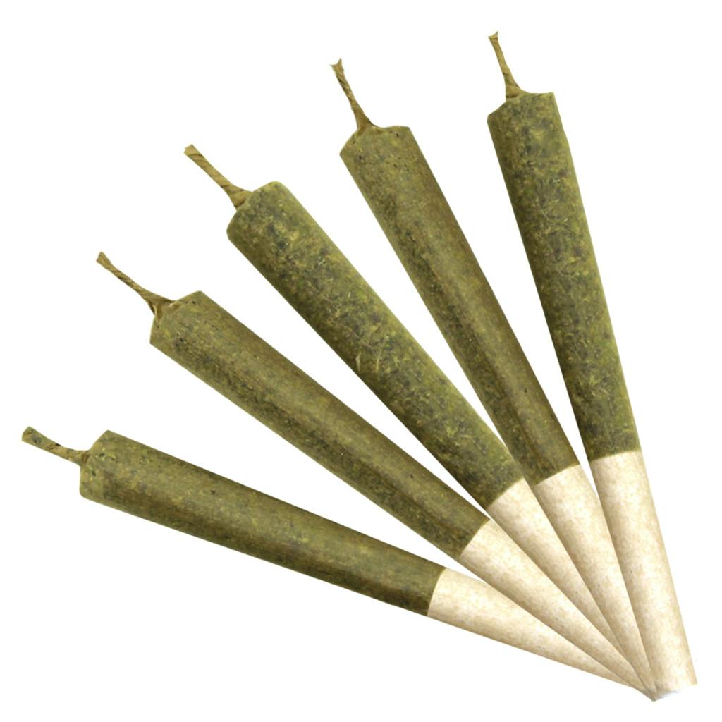 Durban Timewarp | Minis | 0.5g | 5pk
