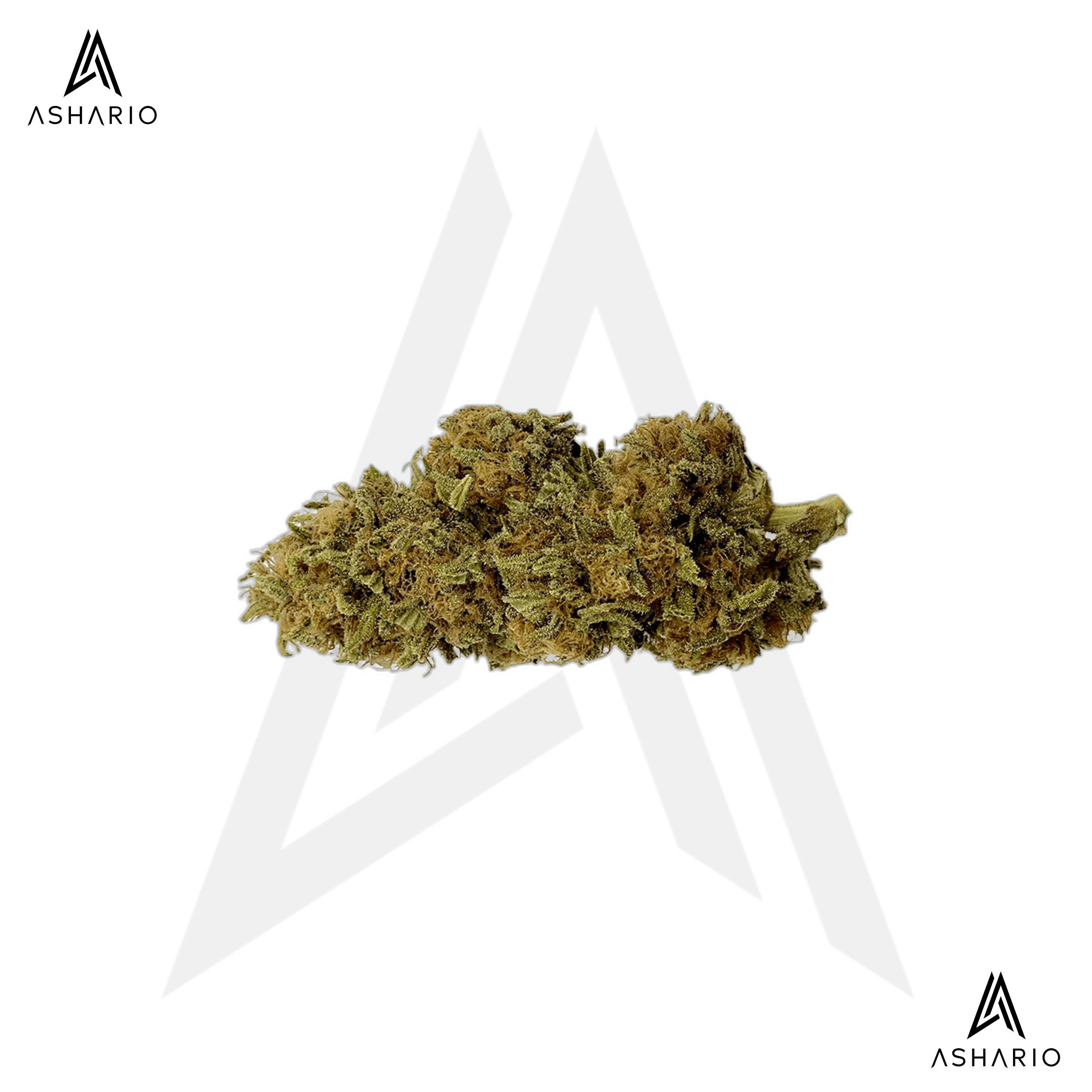 Sweet Texada Lavender | Big Buds | 3.5g