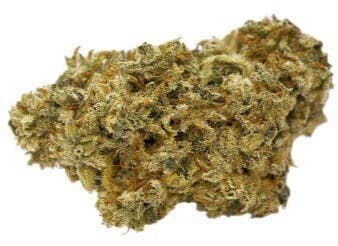 London Fog | Big Buds | 3.5g
