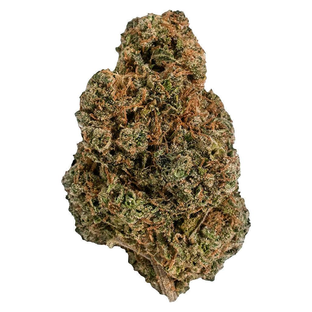 Paisley Cream | Big Buds | 3.5g