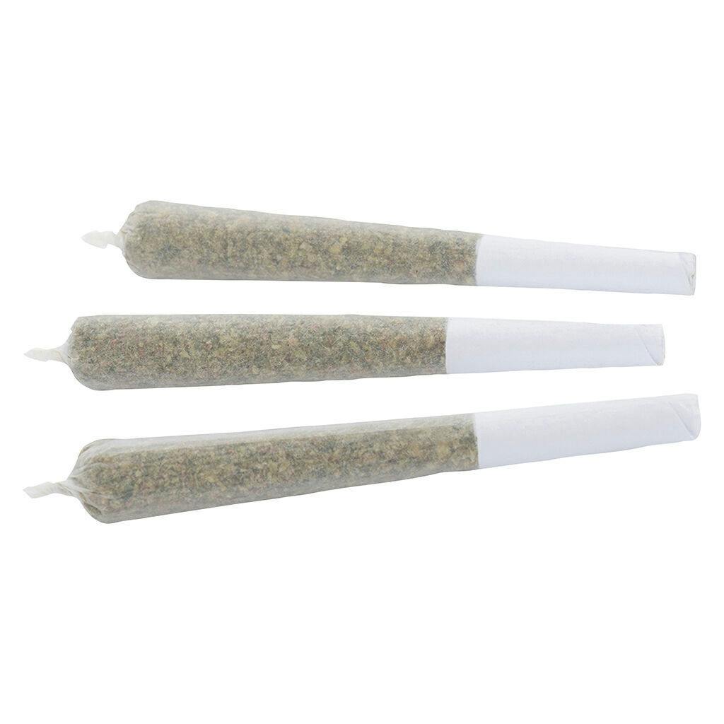 Purple Clementine #37 | Infused Minis | 0.5g | 3pk