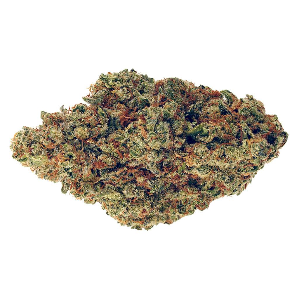 Blue Lime Pie | Big Buds | 3.5g