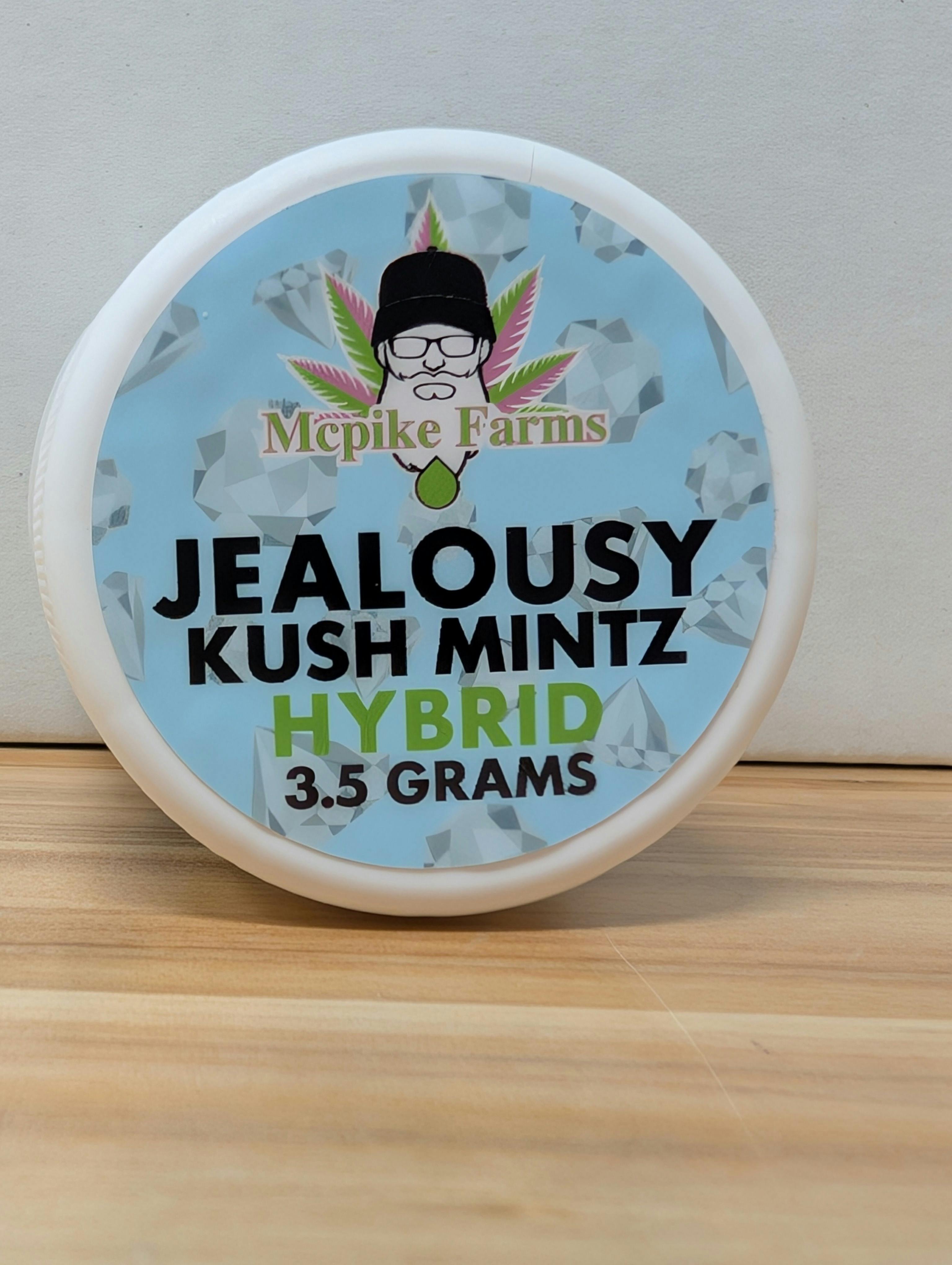 Jealousy Kush Mintz | Big Buds | 3.5g
