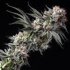Loc-Nar | 7g