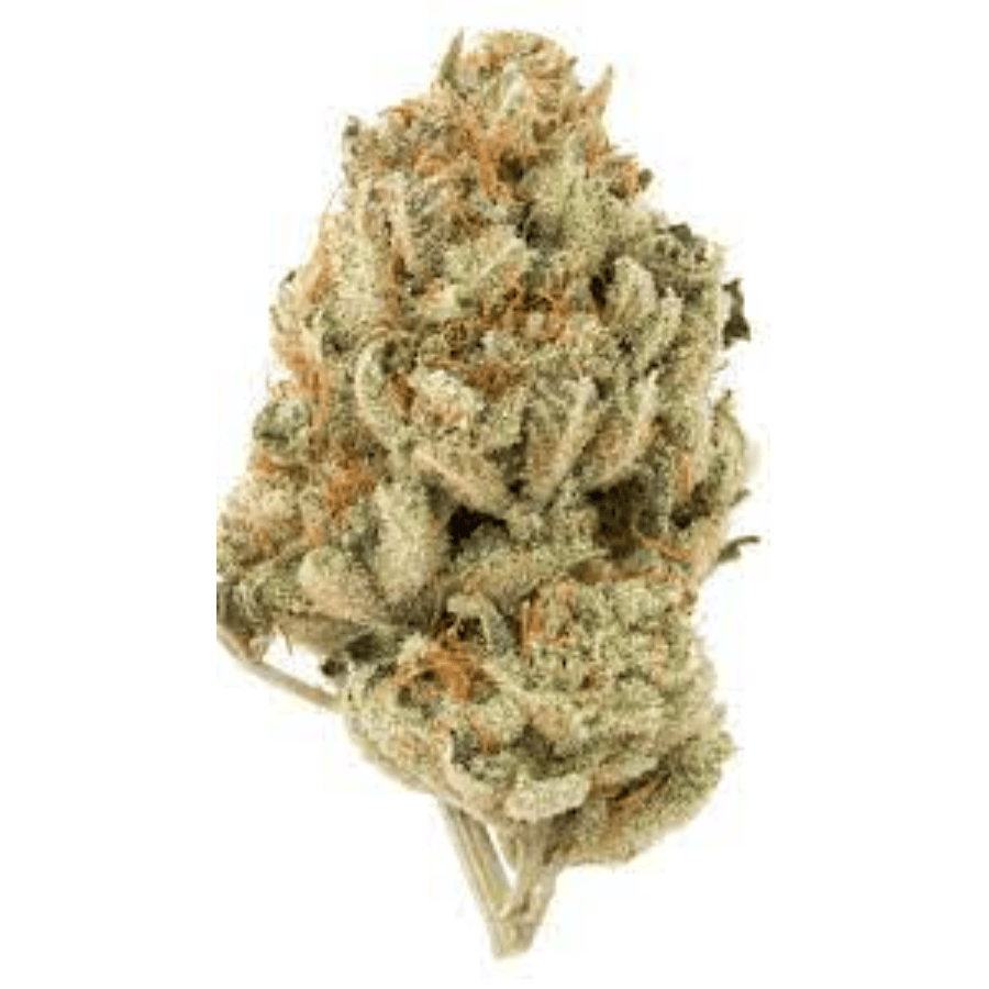 African Queen | 1g