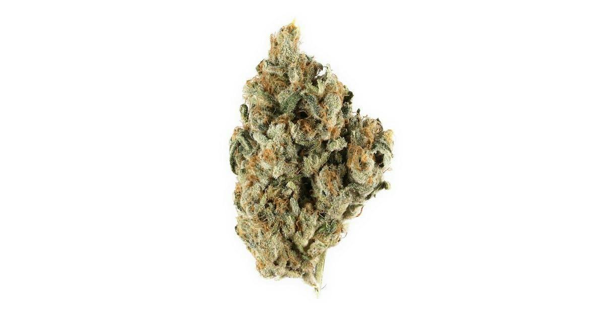 Tropical Cookies | Big Buds | 14g