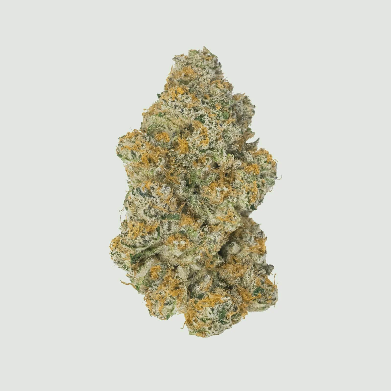 Red Vinez | 14g