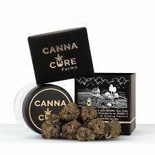 Canna Cure | Bee Jelly | Big Buds | 3.5g by Canna Cure Farms LLC