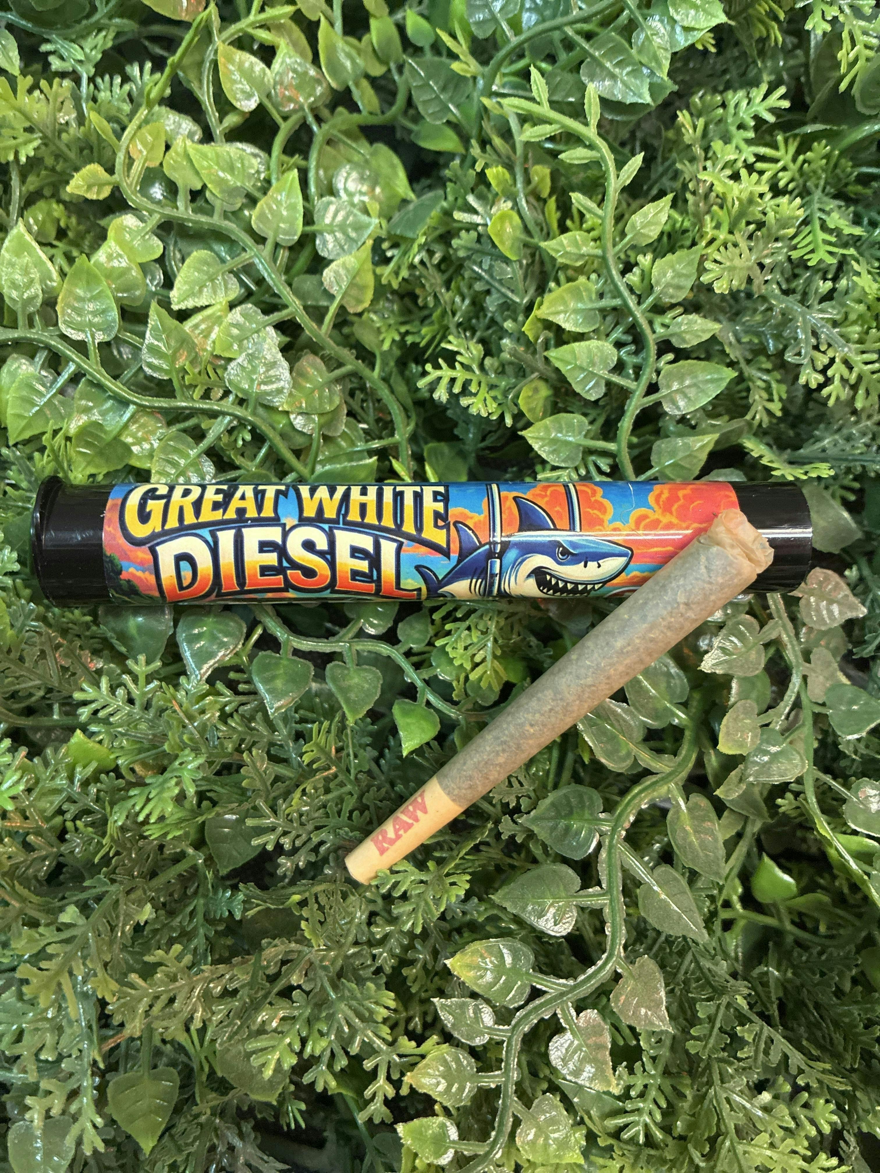 Great White Diesel