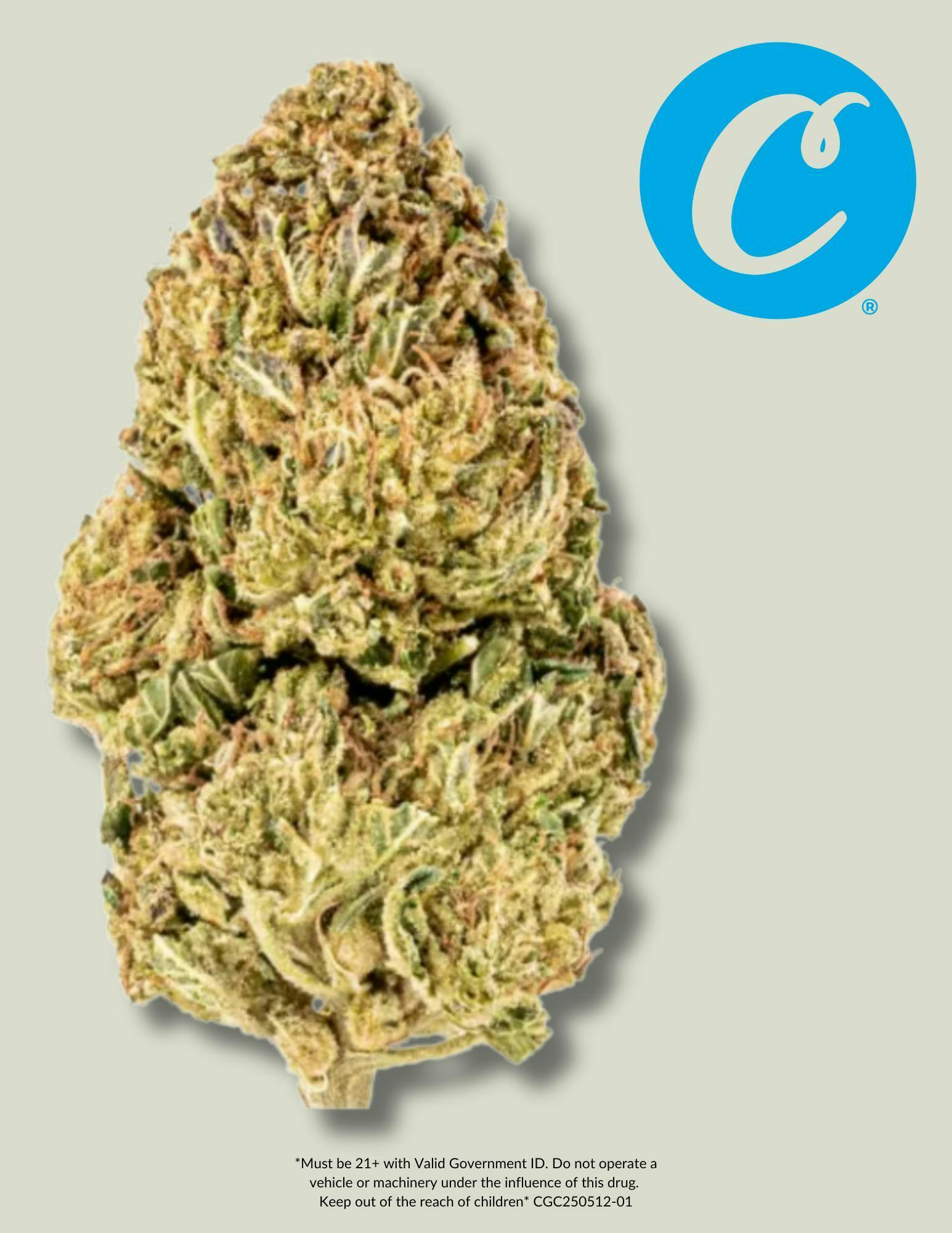 Cookies — Cinnamon Milk