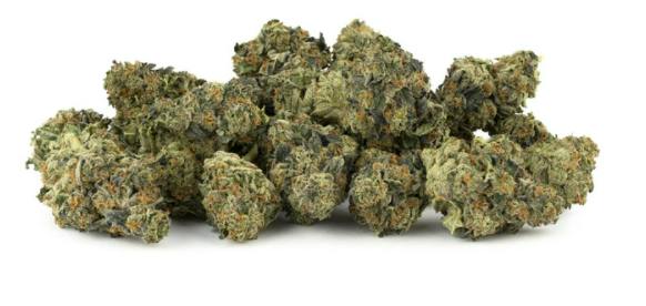 I.C.C. | 28g