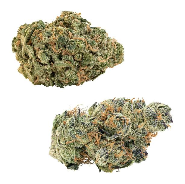 Tropical Cookies & Ultra Sour | Big Buds | 28g