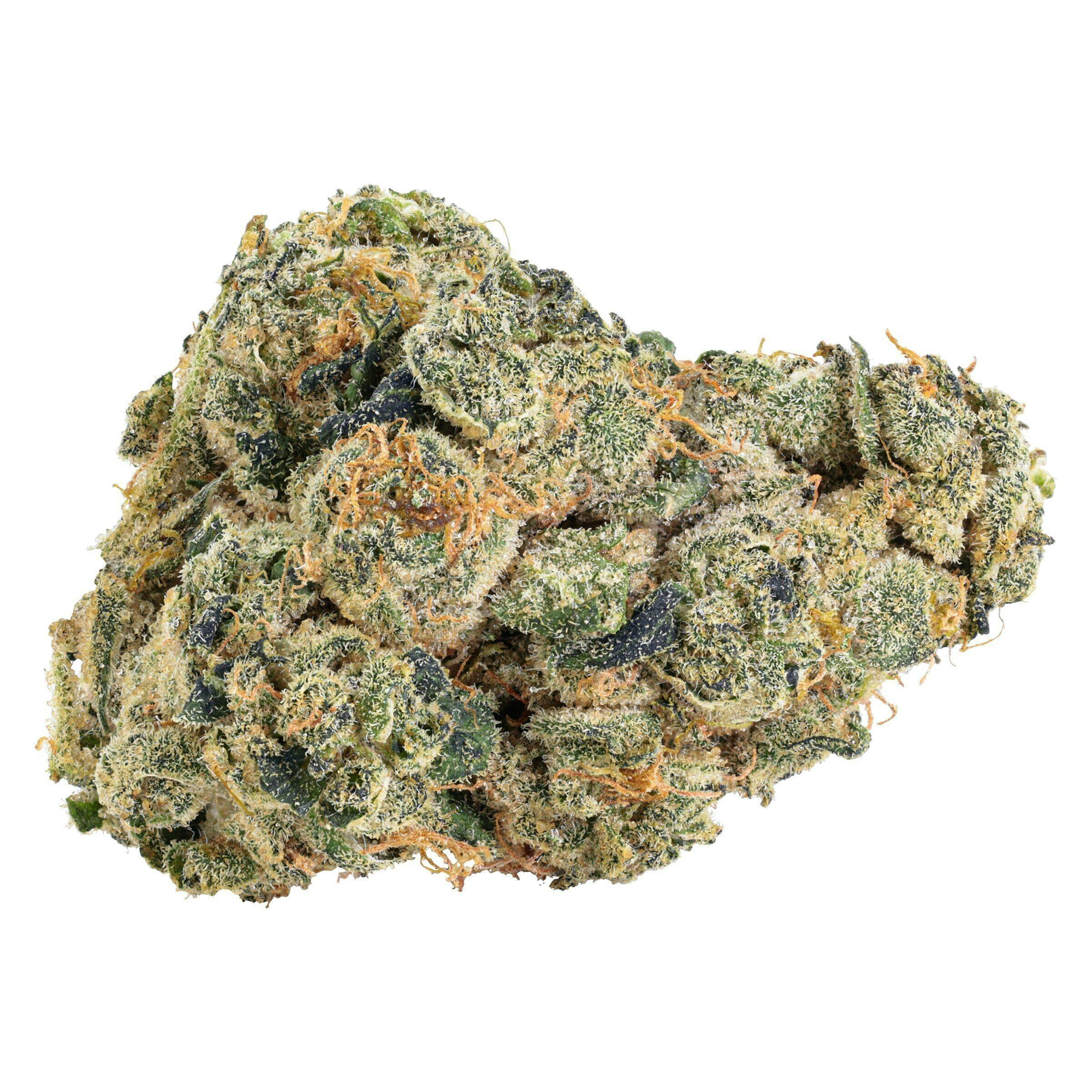 UK Cheddar Cheese | Big Buds | 3.5g