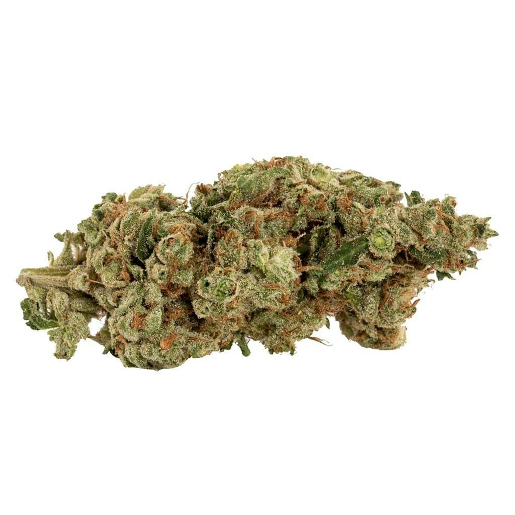 Tengie Cookies | 14g