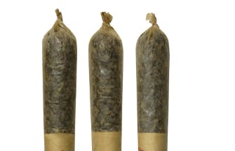 Chillin' Cherry Lime | Infused Minis | 0.5g | 3pk