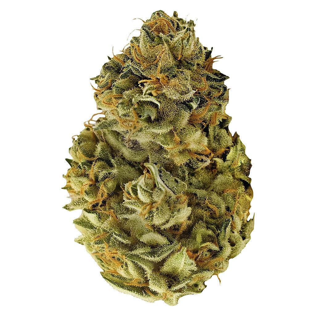 Slumpz | Big Buds | 3.5g