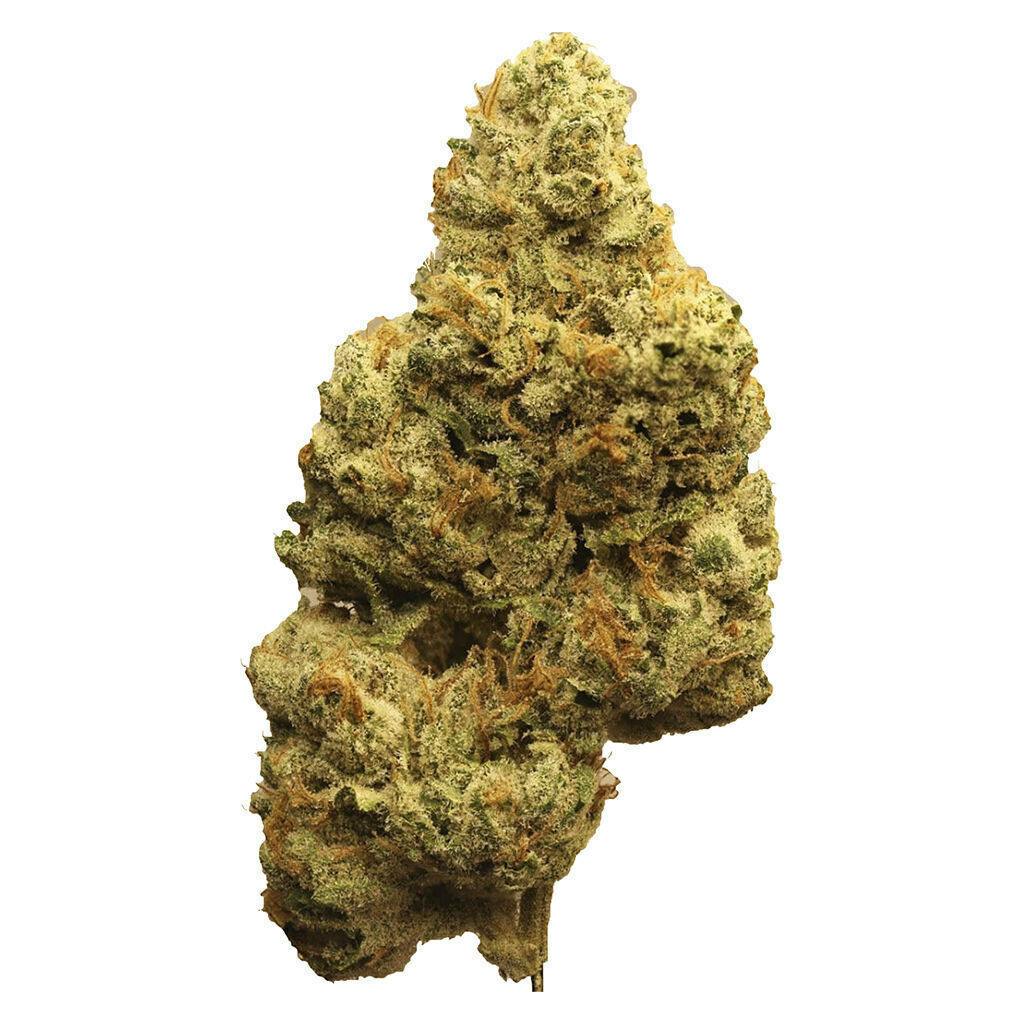 Ghost Banner | Minis | 0.5g | 3pk