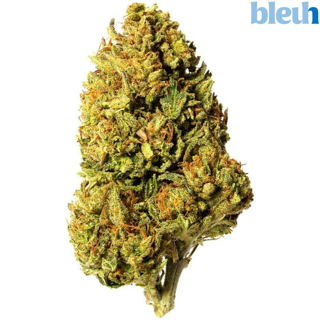 Bleuh Light | 3.5g
