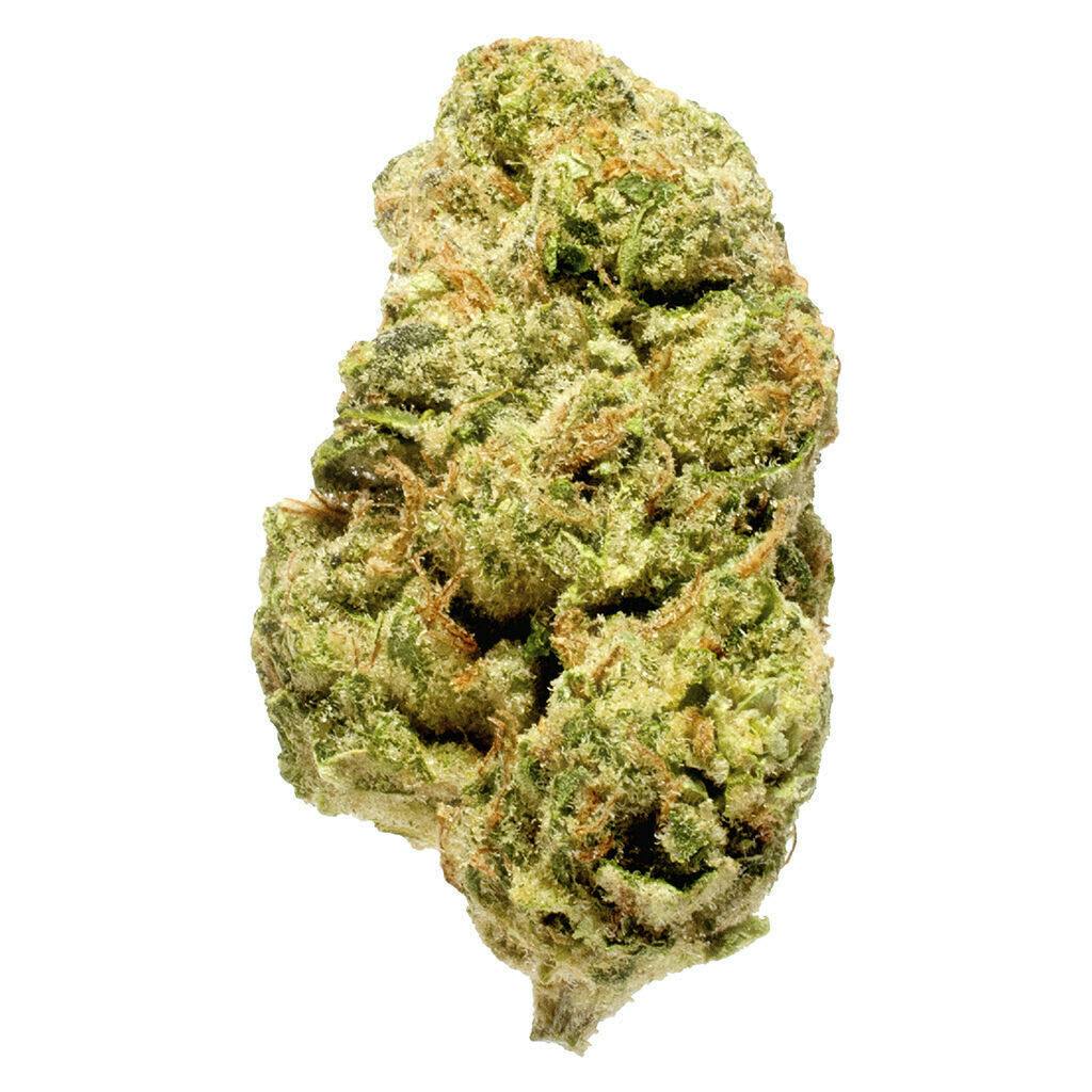 Blanh Indica | 14g