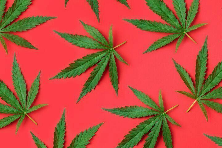 Count Chunkula | 14g by Quality Roots - Brand