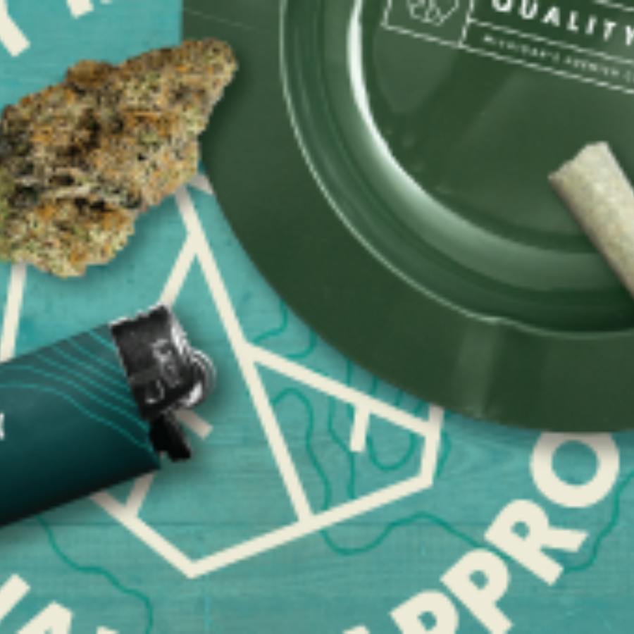 Quality Roots Rolling Tray - Green | Accessories