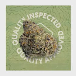 Black Runtz | 3.5g by Quality Roots - Brand