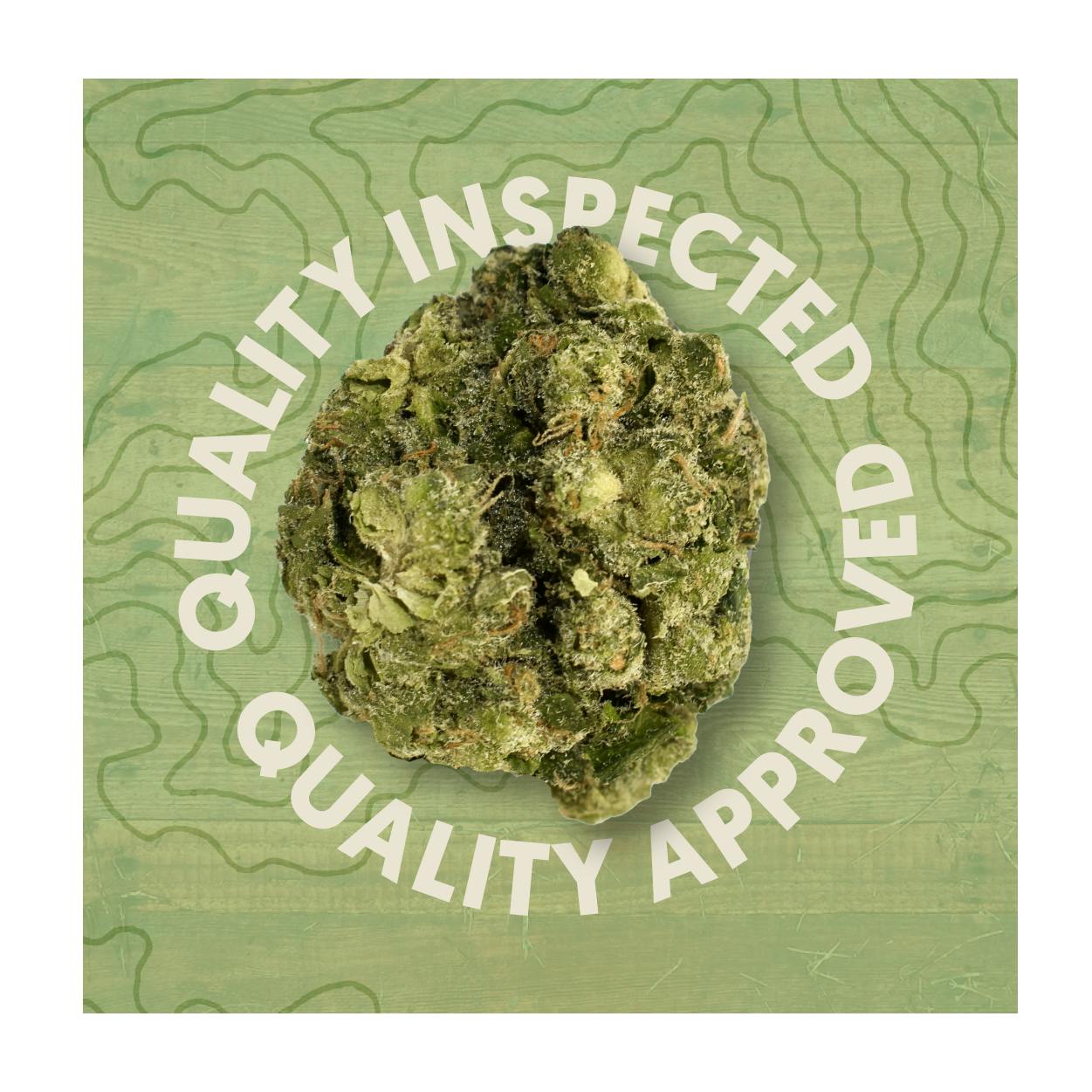 Canal Street Runtz | Big Buds | 3.5g by Quality Roots - Brand