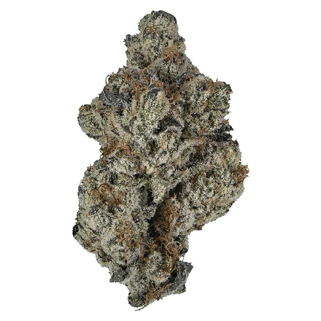 Grape Cake | 7g