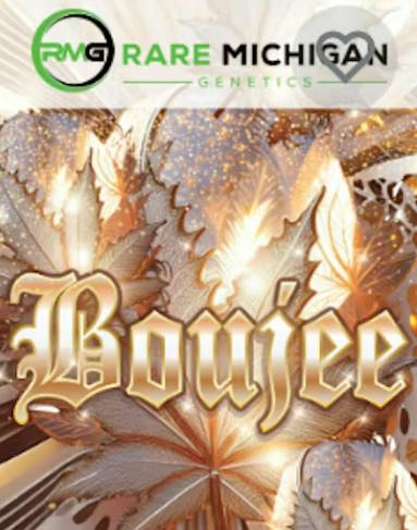 Boujee | Big Buds | 28g