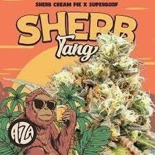 Sherb Tang | Joints | 1.5g