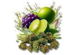 Grape Limeade | Buds | 14g