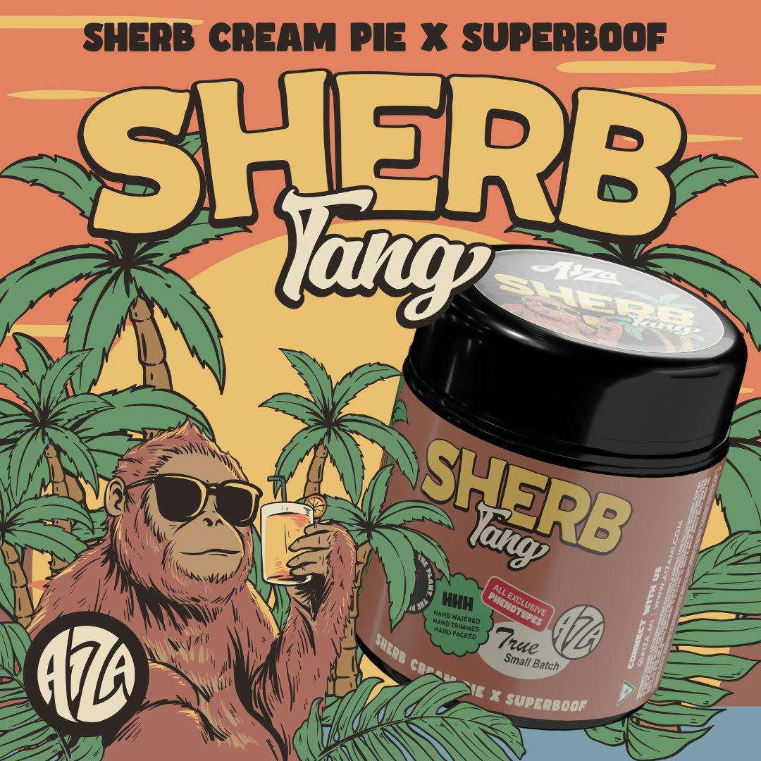 Sherb Tang | 14g