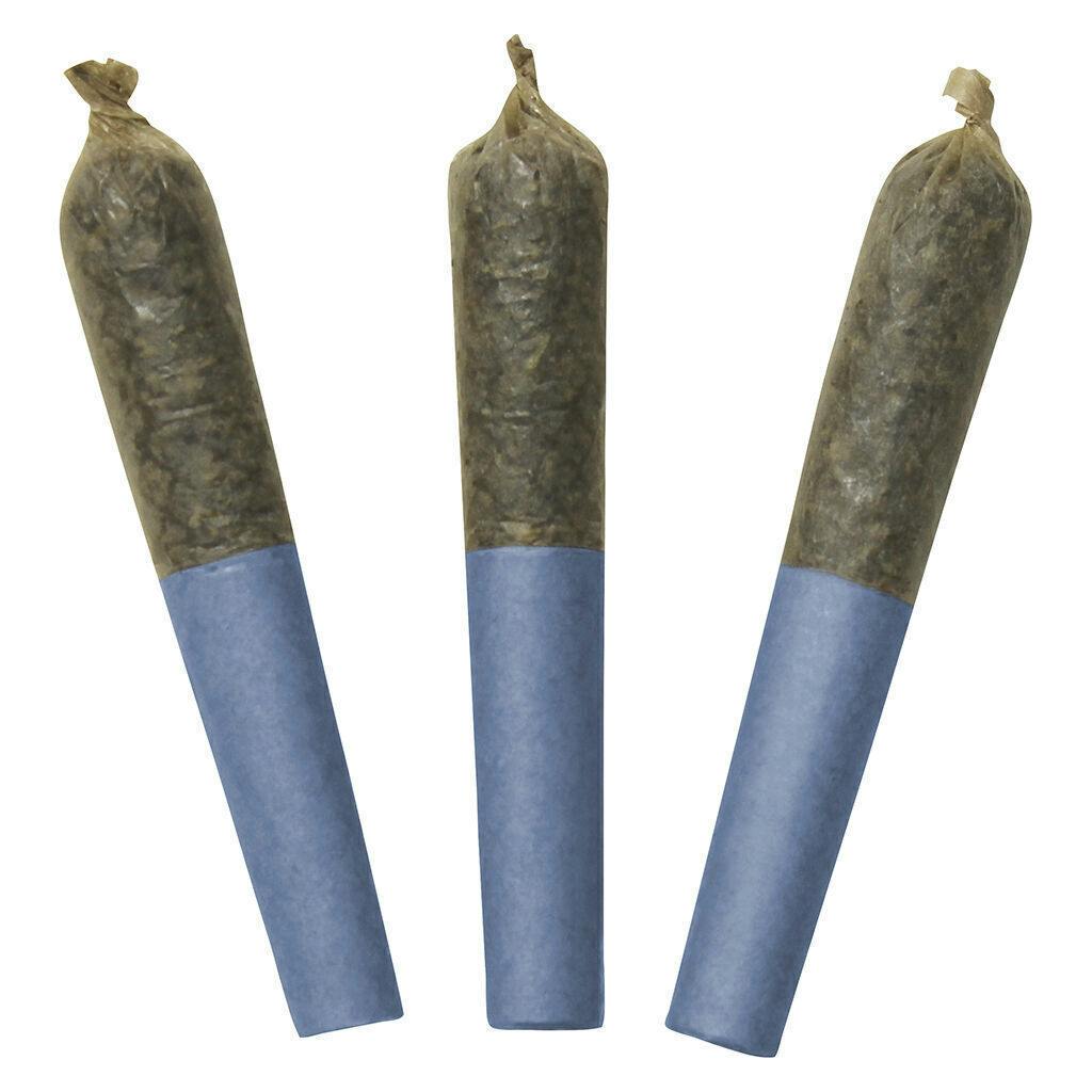 Blue Lobster | Infused Minis | 0.5g | 3pk