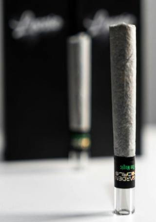 OMG Burger | Joints | 1g