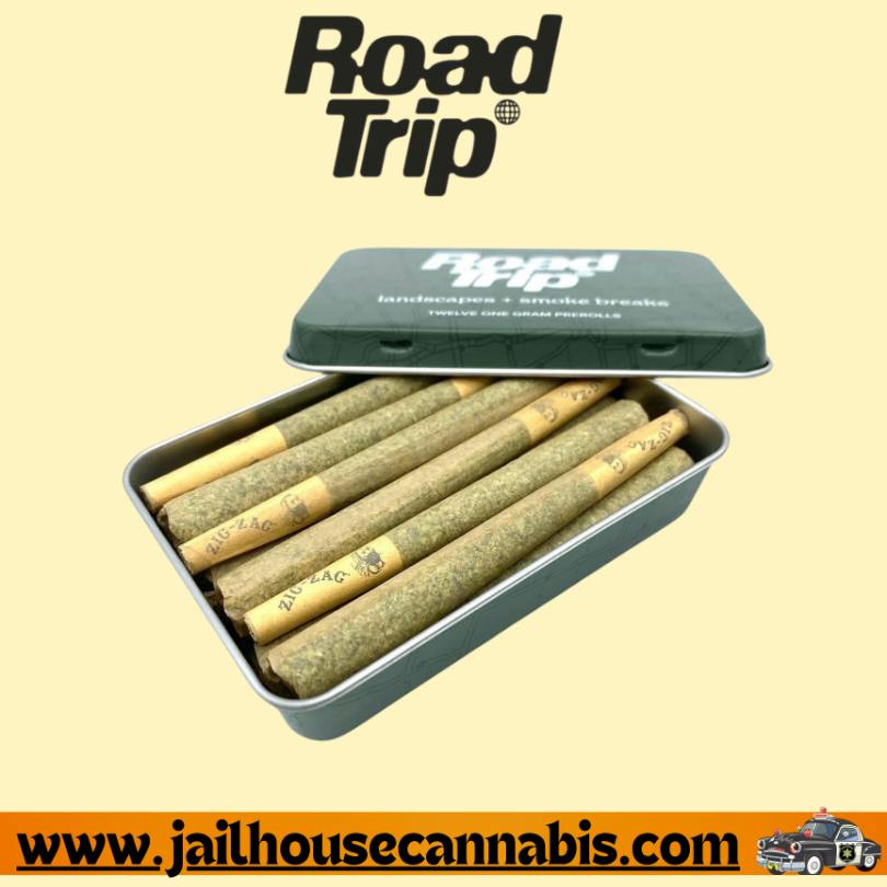 Cherry Burger | Joints | 1g | 12pk
